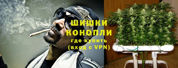 дживик Богородицк